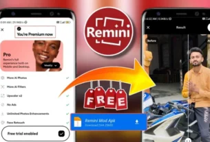 Remini Pro