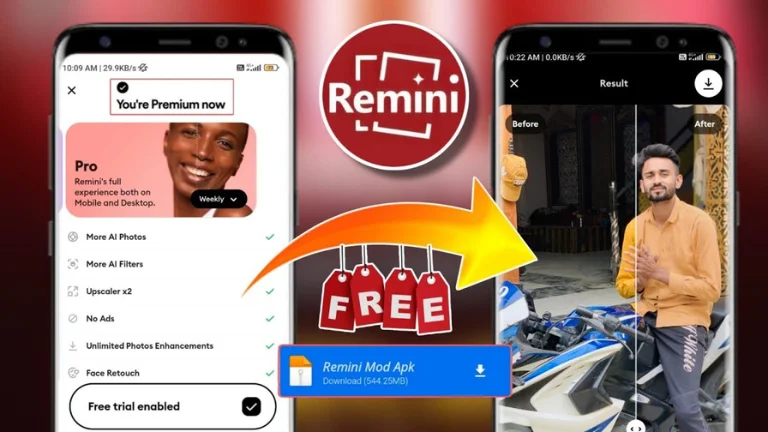 Remini Pro